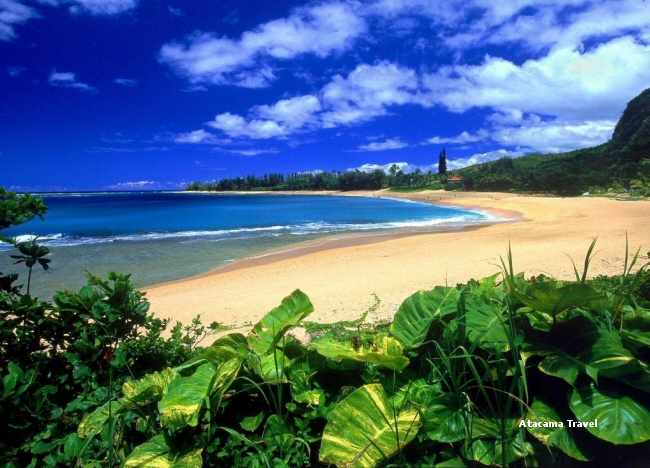 hawaii_kauai_viaggio